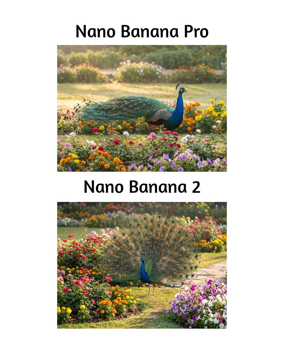 Other generated with Nano Banana Pro